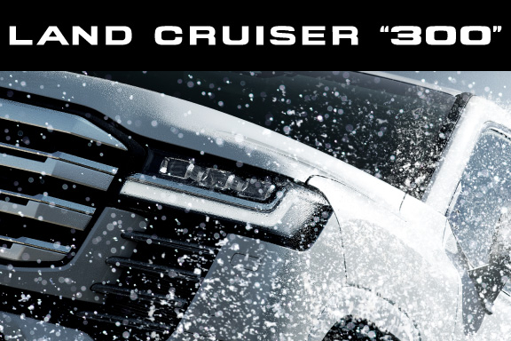 EBBミラー 5枚まとめ売り リザード サンダー ランクルス ツタージャ等 ツタージャ(001/086)(ミラー/モンスターボール) | ミラー | ドラゴン