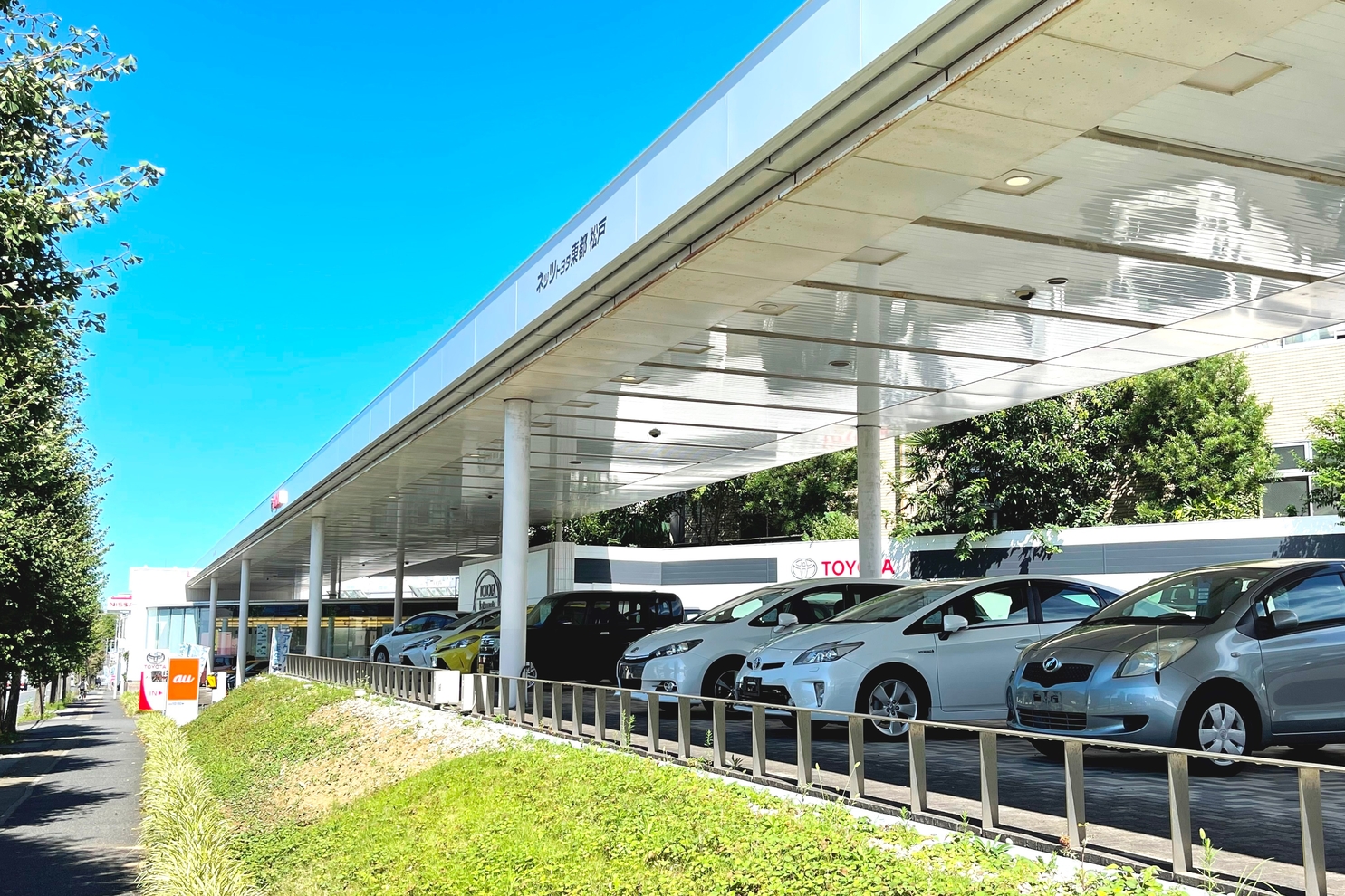 松戸店