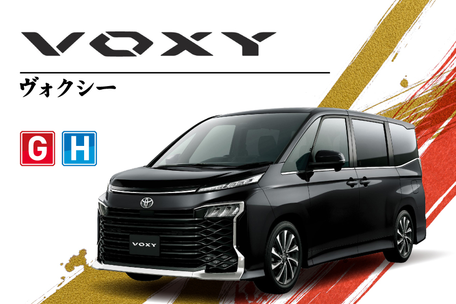 voxy