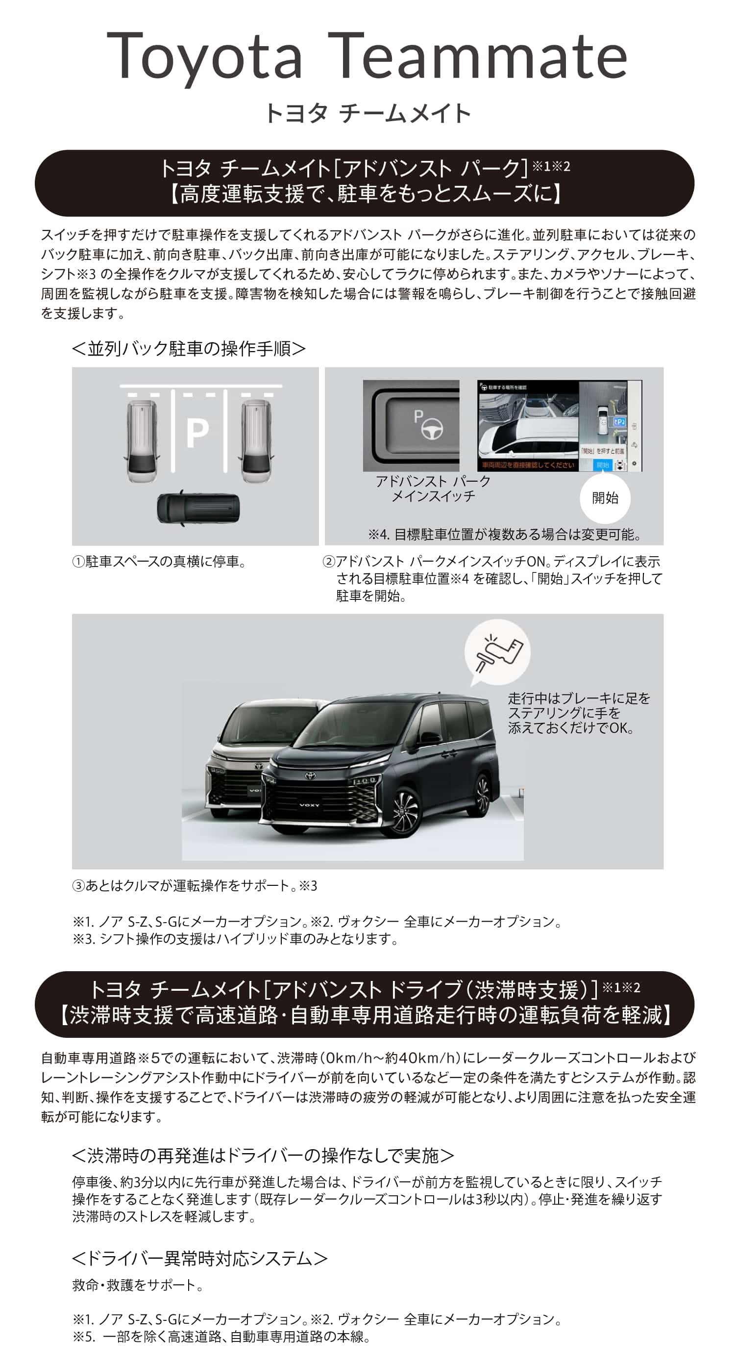ノアとヴォクシーのトヨタ チームメイト