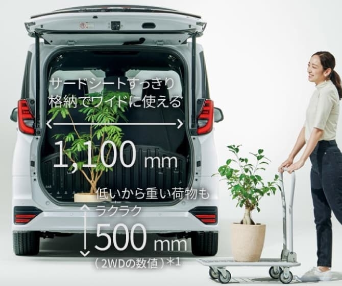 NOAH LUGGAGE